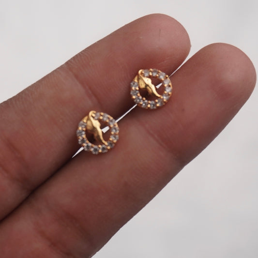 Slv013 Cute Earrings in 92.5 silver