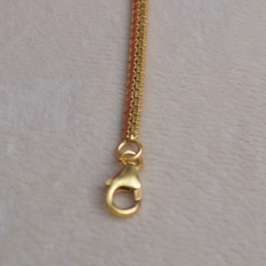 #92.5 silver back Chain with 24 carat gold plated