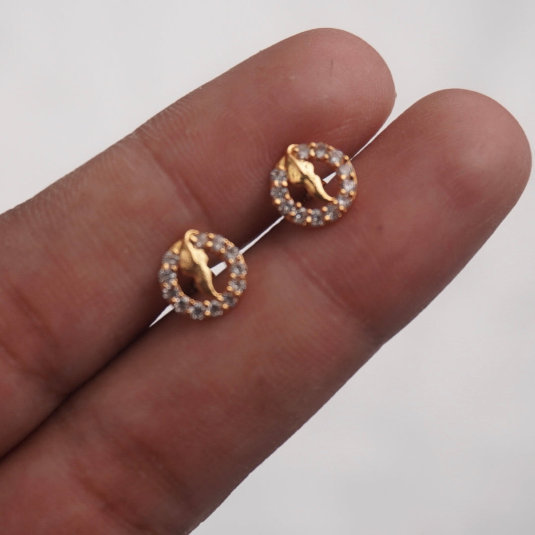 Slv013  Cute Earrings in 92.5 silver