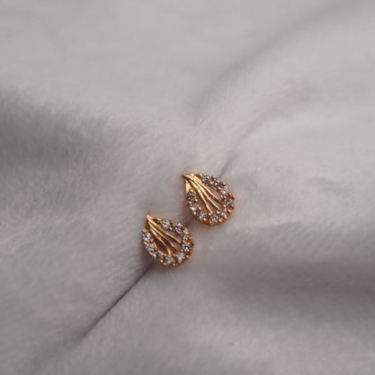 SLV016 Cute Earrings in 92.5 silver