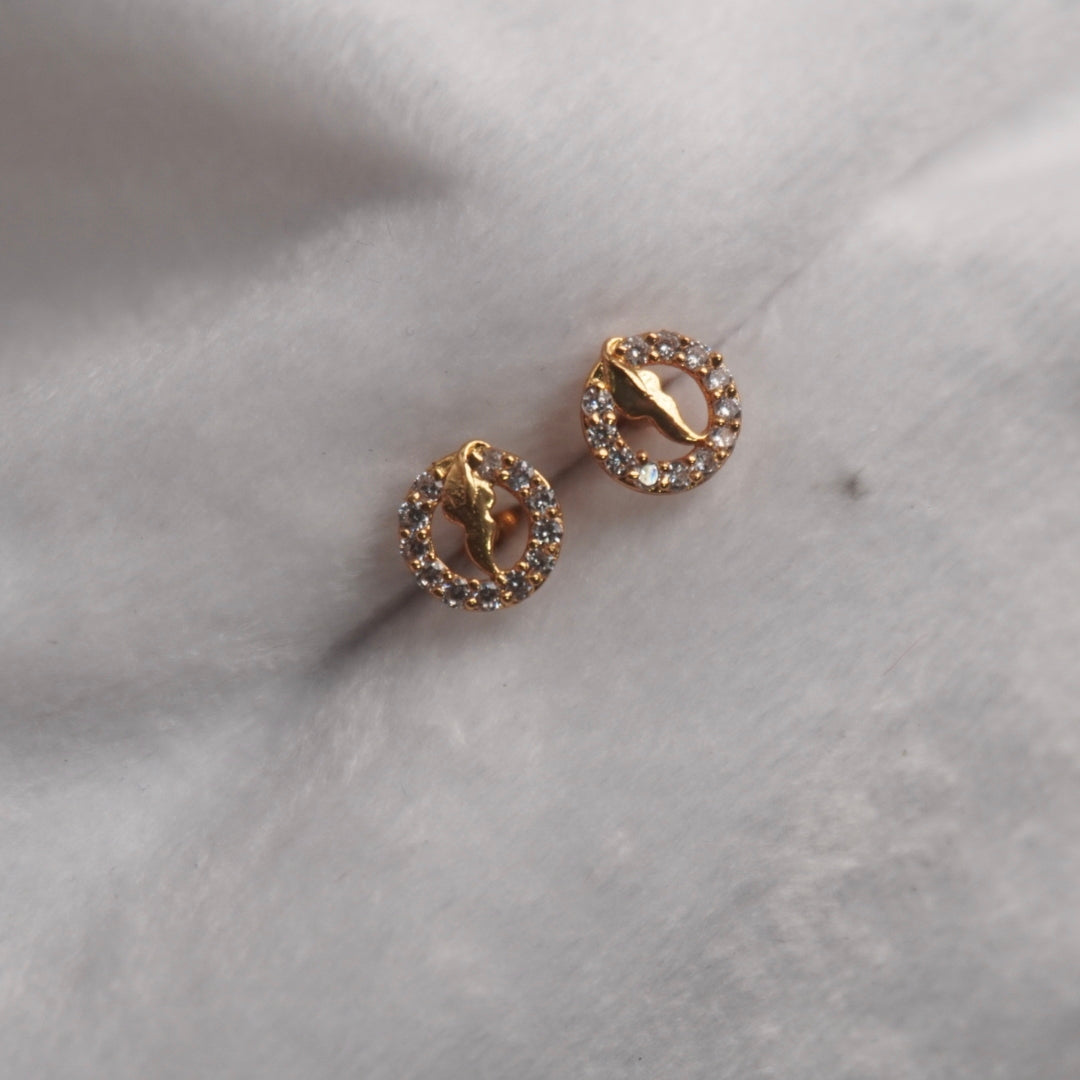 Slv013  Cute Earrings in 92.5 silver