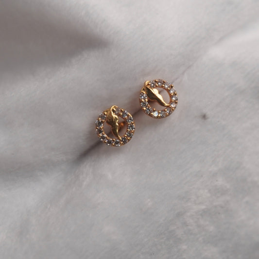 Slv013  Cute Earrings in 92.5 silver